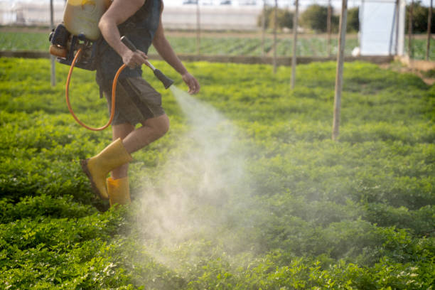 Best Pest Control Near Me  in Baxley, GA