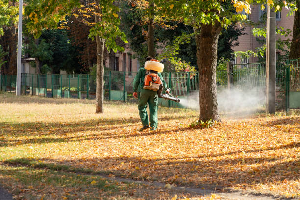 Best Residential Pest Control  in Baxley, GA